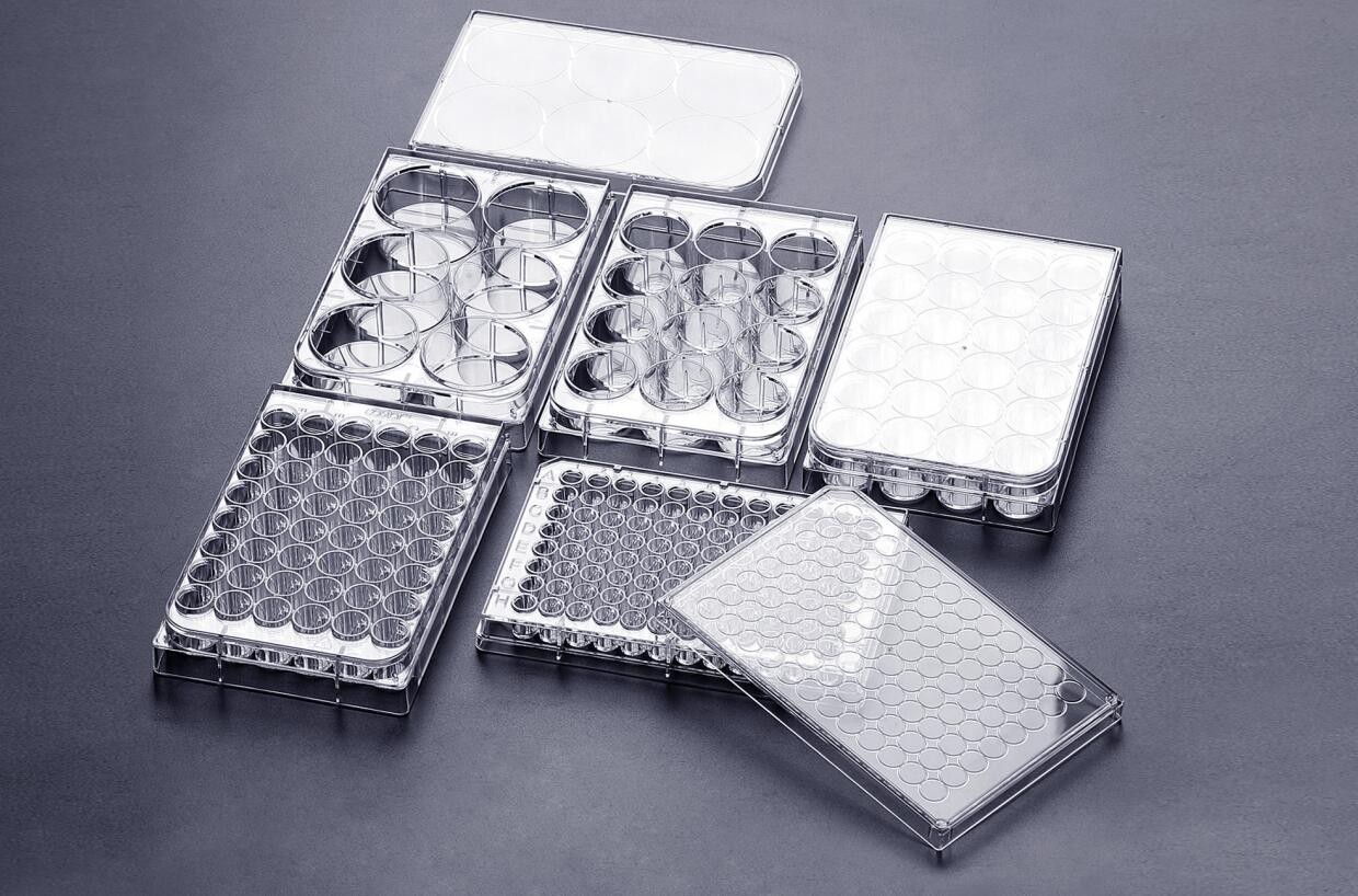 多孔細(xì)胞培養(yǎng)板