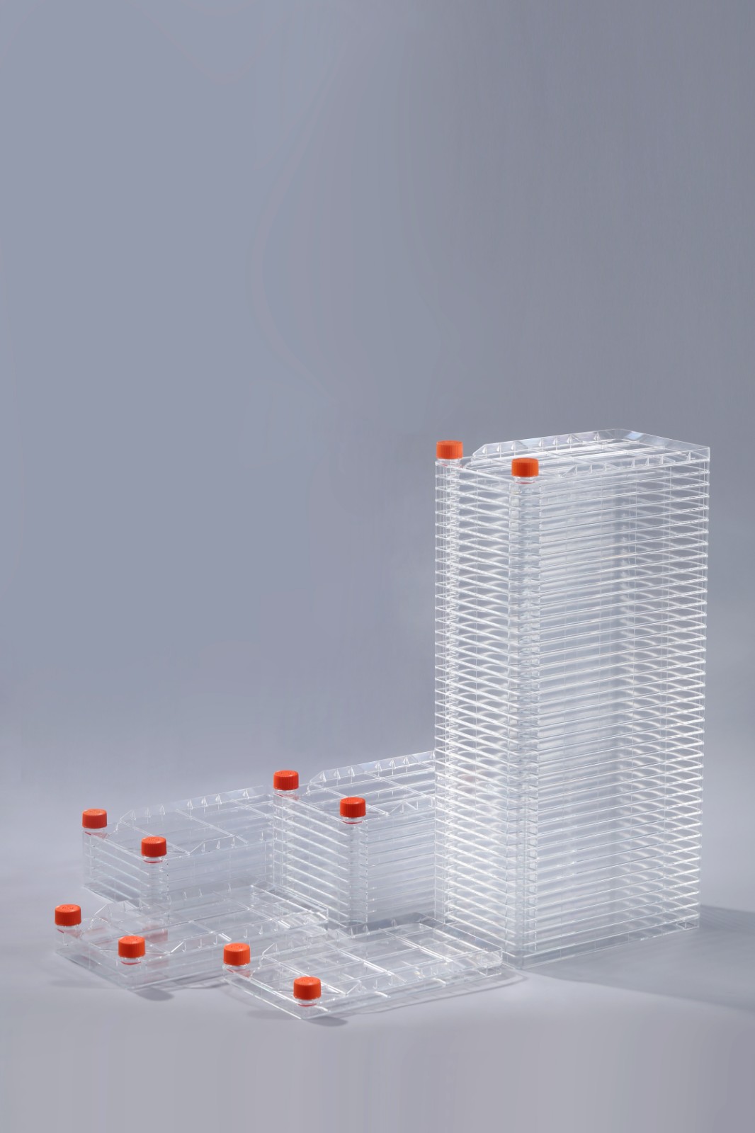 細(xì)胞工廠 細(xì)胞工廠