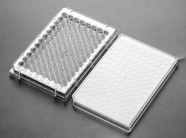 96孔細(xì)胞培養(yǎng)板 96孔細(xì)胞培養(yǎng)板