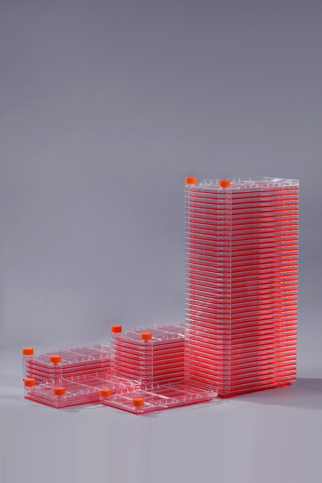 細(xì)胞工廠 細(xì)胞工廠