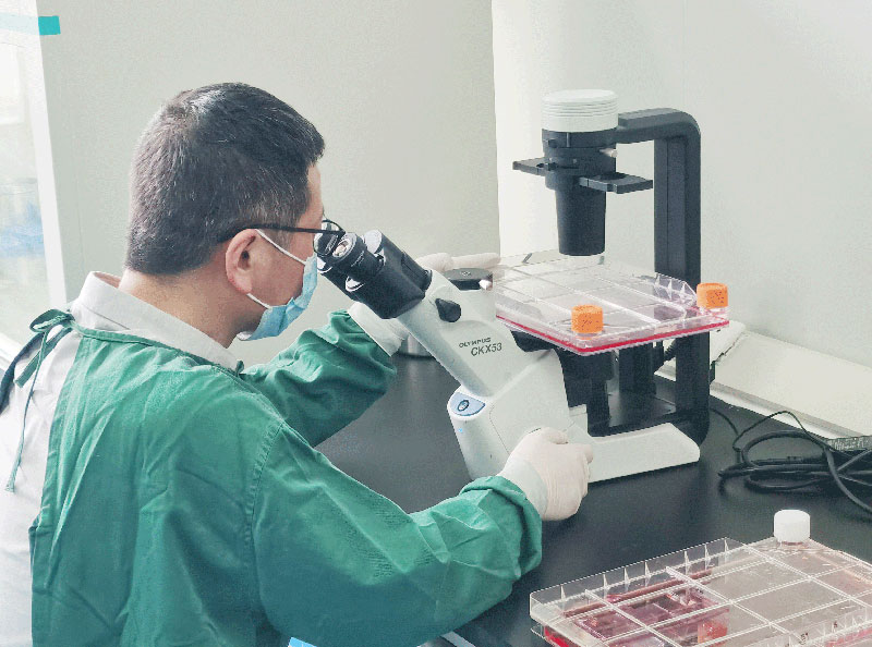 1層細(xì)胞工廠質(zhì)量檢測(cè) 1層細(xì)胞工廠質(zhì)量檢測(cè)