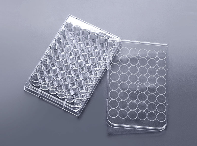 48孔超低吸附細胞培養板