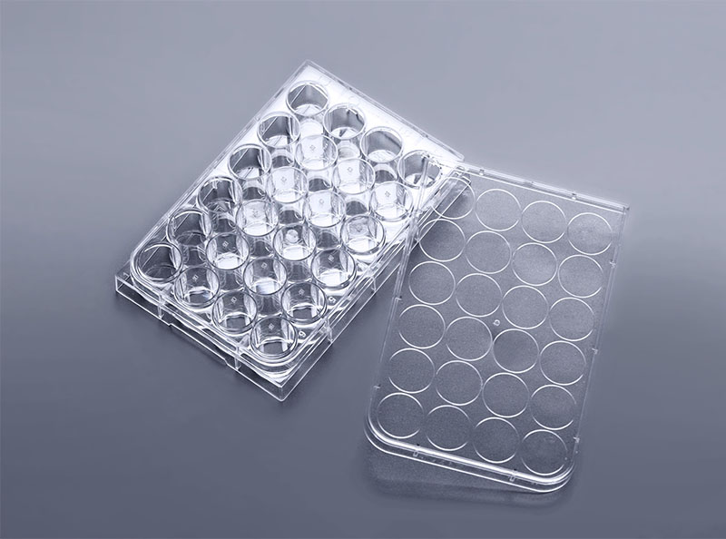24孔超低吸附細胞培養板
