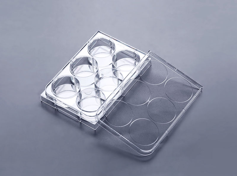 6孔超低吸附細胞培養板