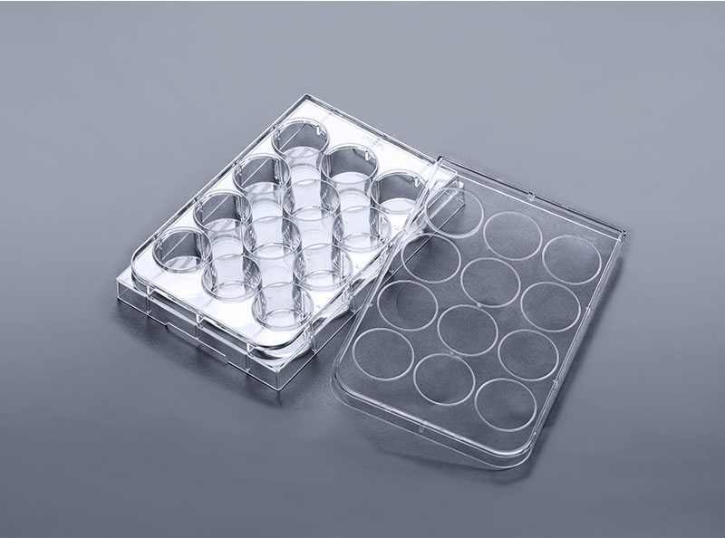 12孔超低吸附細胞培養板