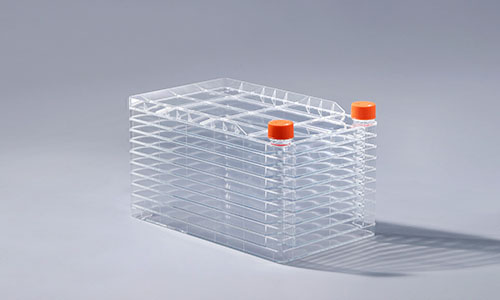 細胞工廠的兩種不同表面