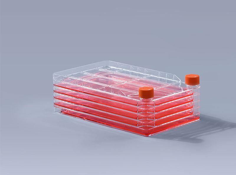 細胞工廠培養細胞時常見的三種污染