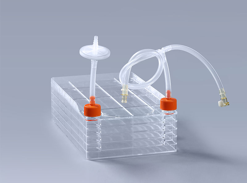 細(xì)胞工廠的結(jié)構(gòu)特點(diǎn)