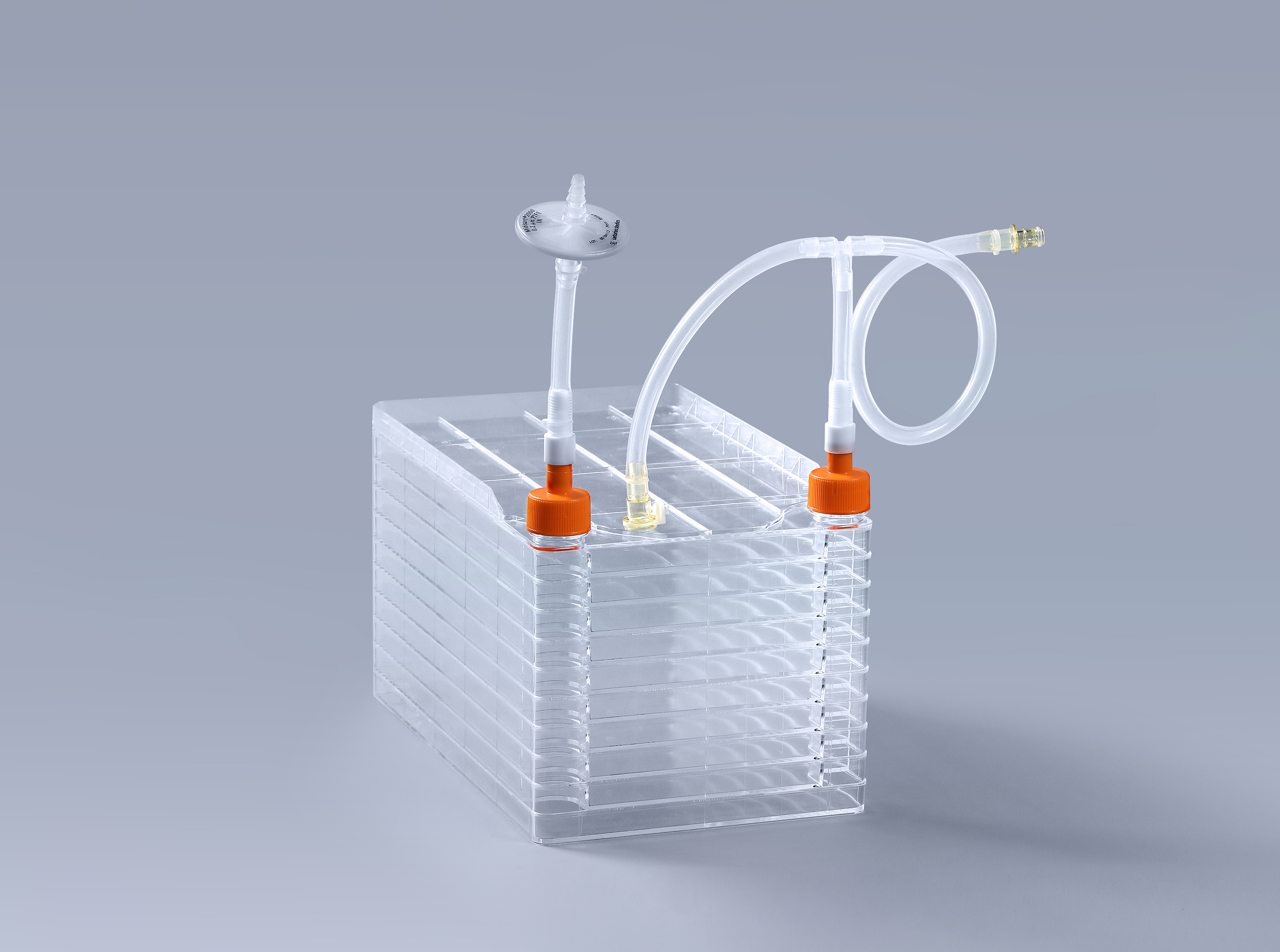 這個四個因素將會影響到細胞工廠的質量_富道細胞 這個四個因素將會影響到細胞工廠的質量_富道細胞