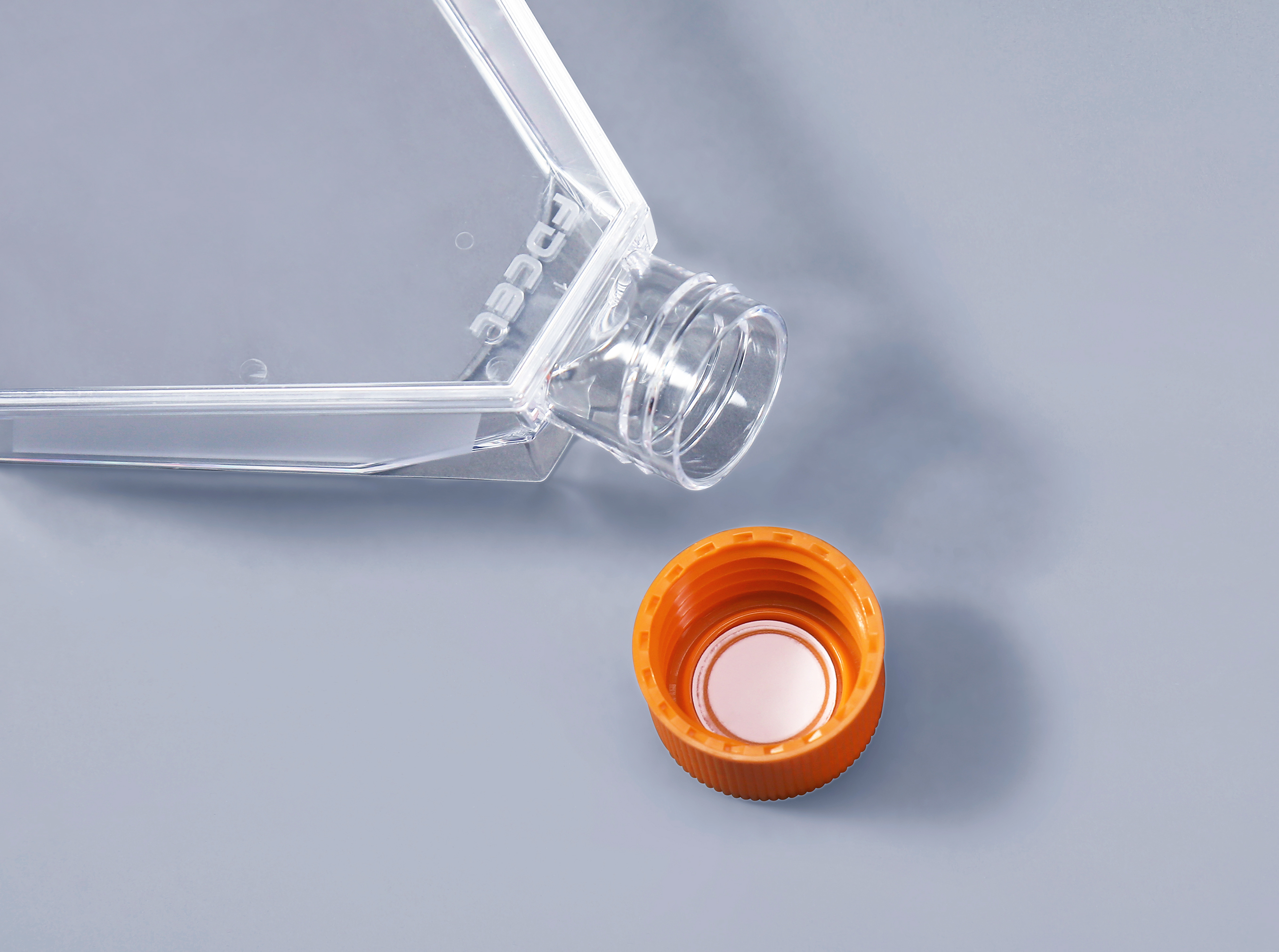 細胞培養瓶中出現支原體污染的表現_富道細胞 細胞培養瓶中出現支原體污染的表現_富道細胞