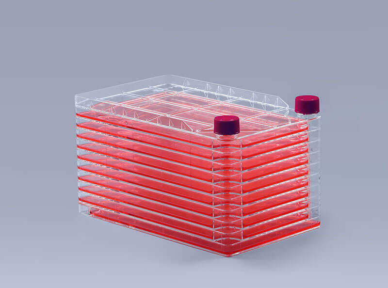 細胞工廠內出現“黑膠蟲”的補救_富道細胞