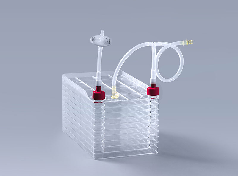 如何識別細胞工廠中的真菌污染_富道細胞 如何識別細胞工廠中的真菌污染_富道細胞